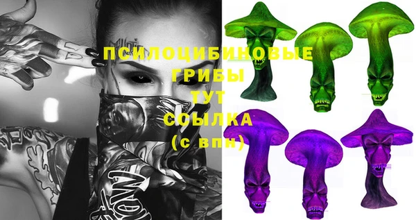 стаф Арсеньев
